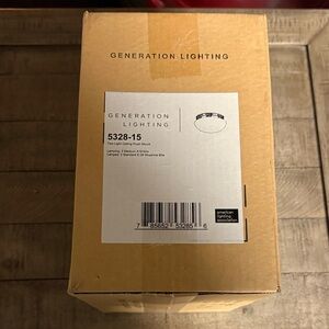 Generation Lighting Two Light Flush Mount